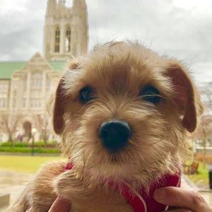 Meet your Posher, Leslie